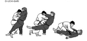 O-Uchi-Gari